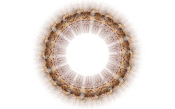 2014 04 26 Afternoon From Blanks 46-white.jpg